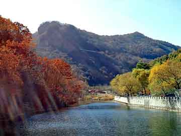 新澳门二四六天天开奖，都市神尊